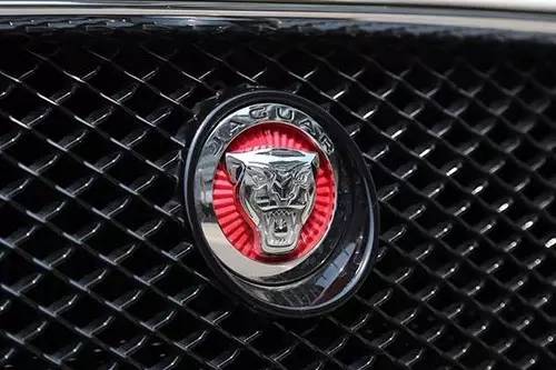 車(chē)標(biāo)上的動(dòng)物都是啥來(lái)頭？看完又能出去裝X了