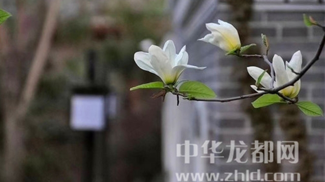 淮陽(yáng)蓮舍，多了一份味道