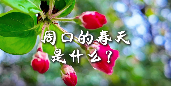 周口的春天，待你慢慢遇見